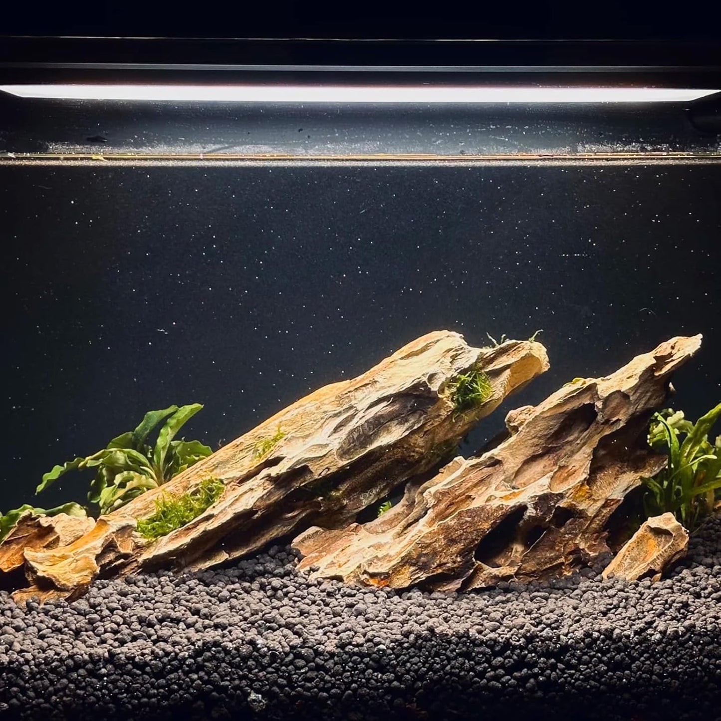 Dragon Rocks Aquarium Rock aquascaping Natural Stone Rocks Fish Tank Decor Rocks for Aquariums Landscaping Model Tank Decoration Aquarium Miniature -20Lb (2-8 inch)