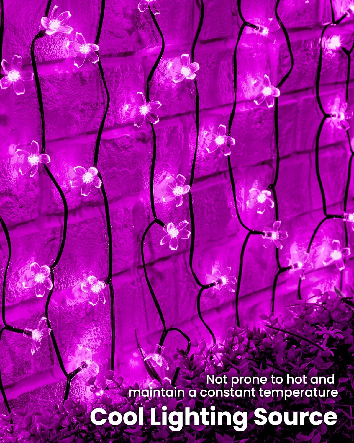 Brightown 2 Pack Total 52FT 120 LED Flower Solar String Lights Outdoor Waterproof Fairy Lights for Garden Yard Fence Patio Christmas Tree Wedding Party Decor, Pink