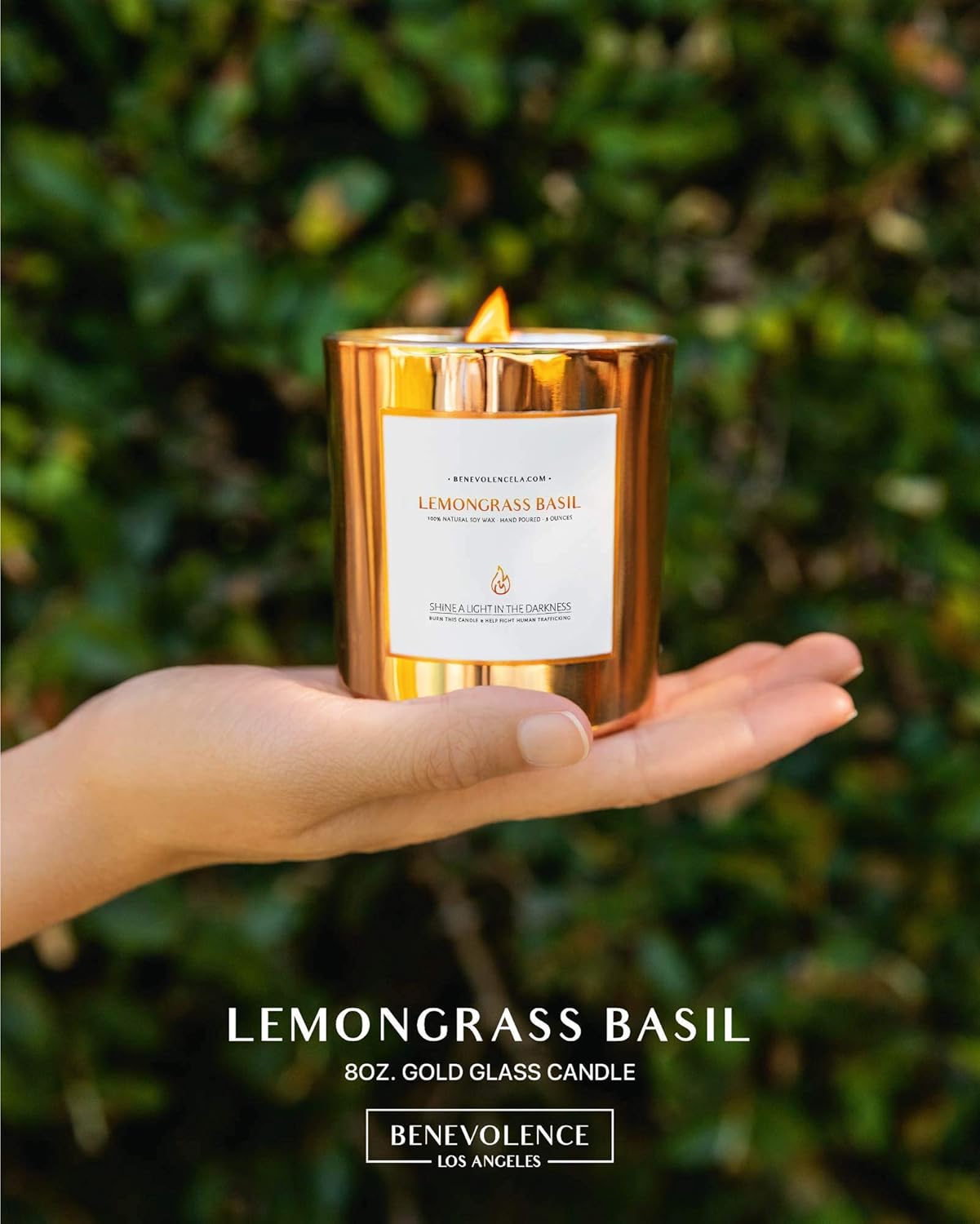 Benevolence LA Lemongrass & Basil Wood Wick Candles | Soy Scented Candles for Home | Gifts for Women and Men | Home Fragrance | Aromatherapy | Shelf Decor, Bathroom Freshener | 8oz, 45 Hour Burn