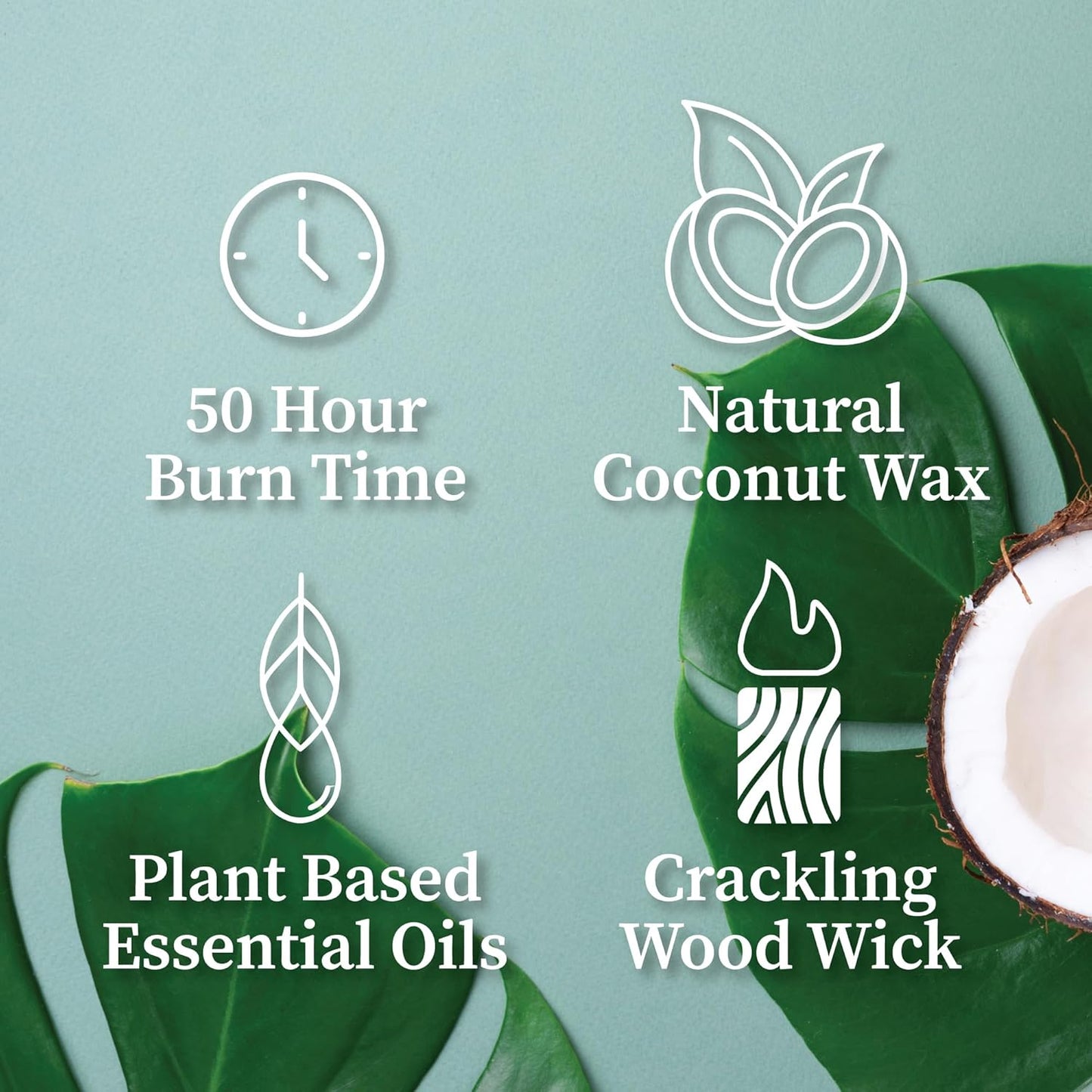 Hemlock Park Wood Wick Candle Handcrafted with Natural Coconut Wax and Essential Oils (Amber & Gold 7.2 oz, Pomegranate Passion Fruit)