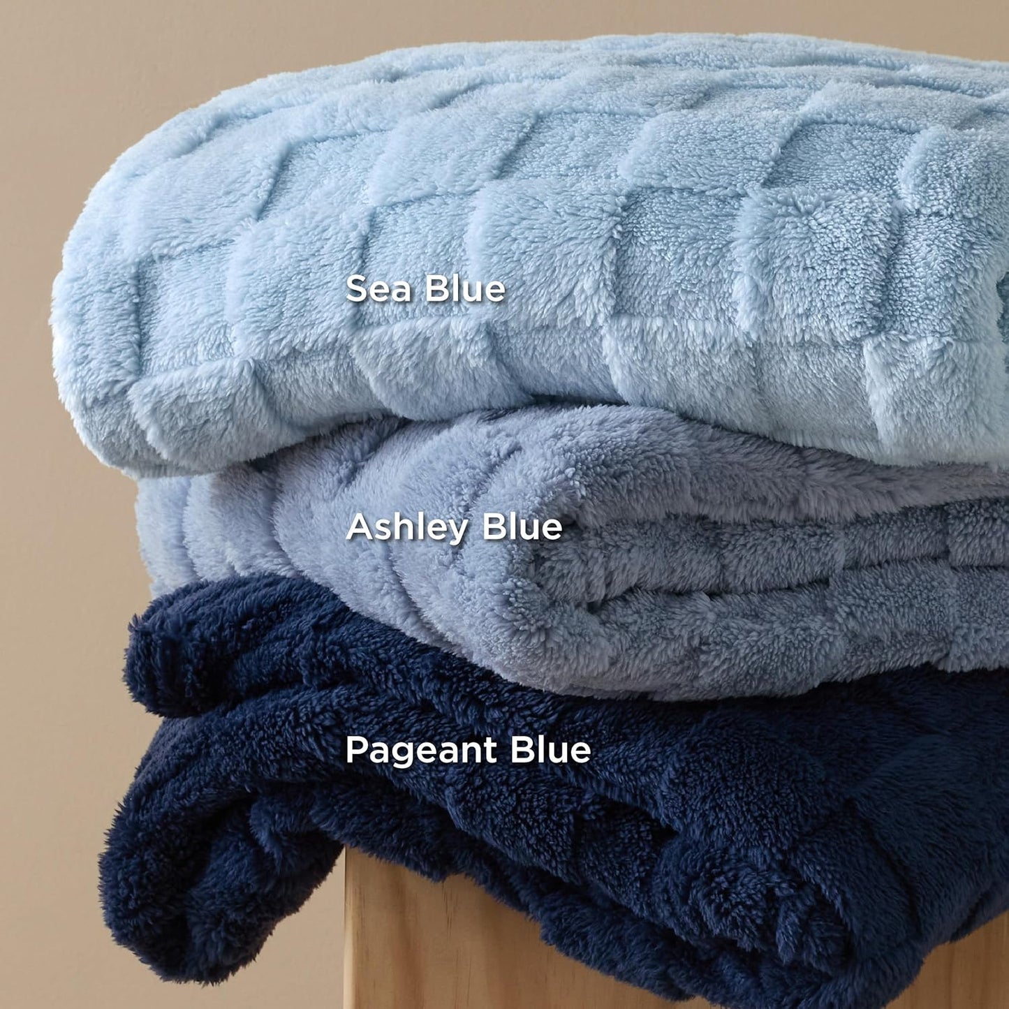 Bedsure GentleSoft Ashley Blue Throw Blanket for Couch - Checkered Fleece Blankets Gifts for Women Men Girls, Cute Soft Cozy Throw for Bedroom Home Decor Gifts, 50x60 Inches